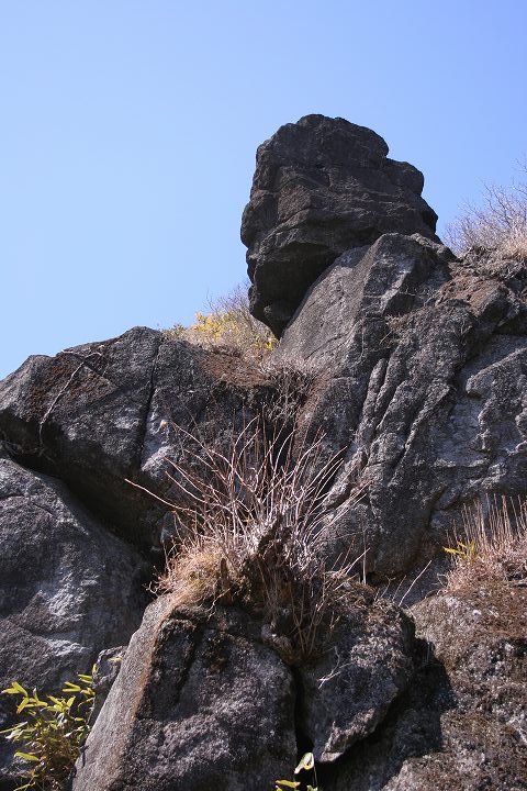 筑波山 大仏岩