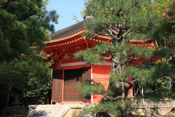 東福寺 愛染堂