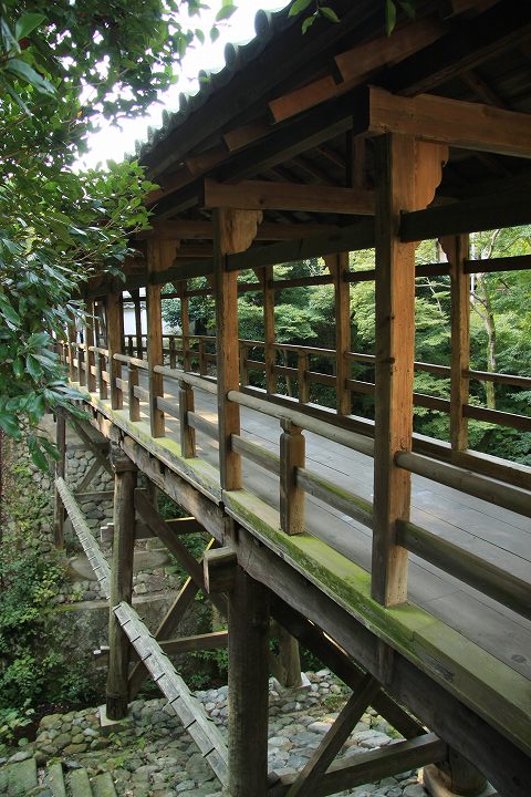 東福寺 偃月橋