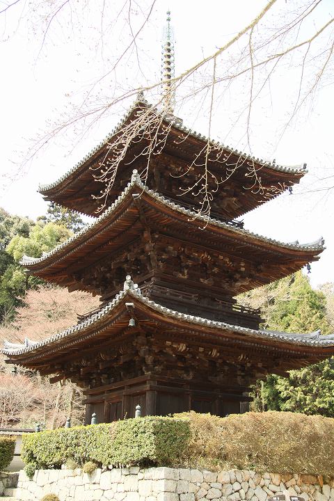 三井寺 三重塔